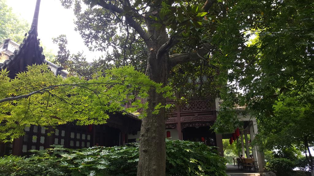 20170608_120351