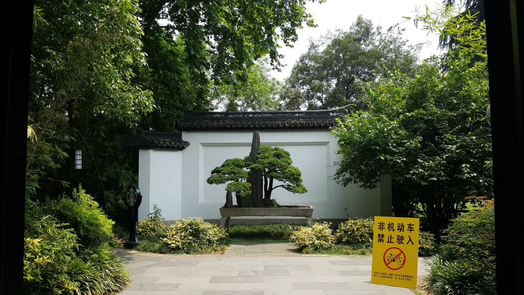 20170608_132750
