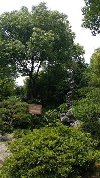 20170608_133746