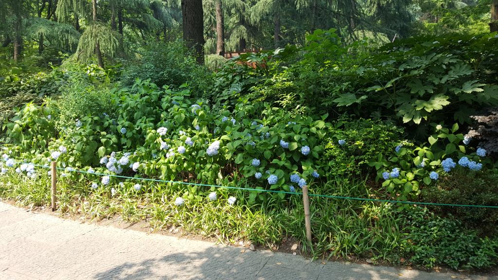 20170608_134837