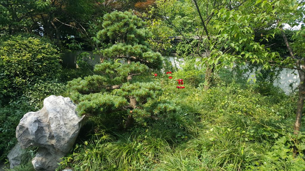 20170608_145750