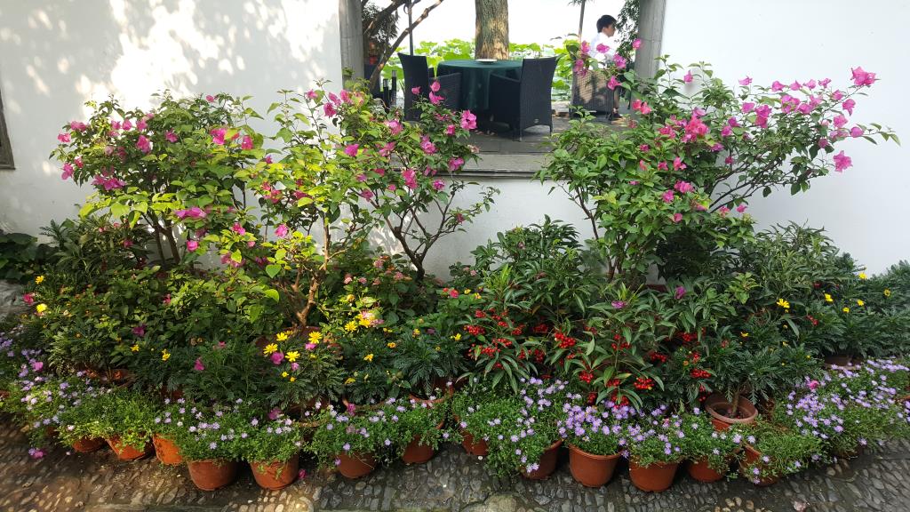 20170608_150551