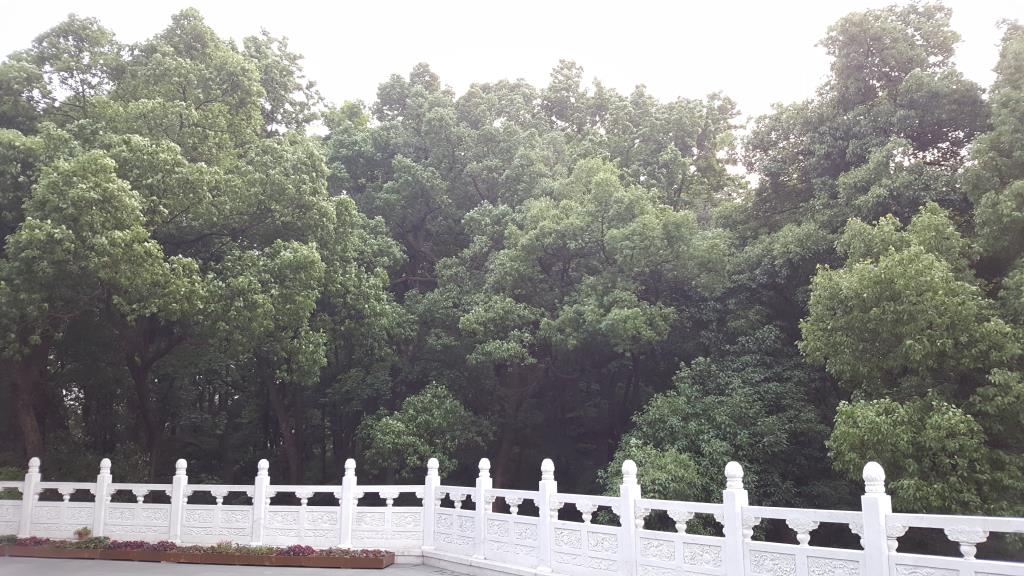 20170608_180015