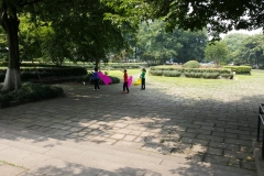 20170608_104039