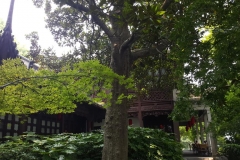 20170608_120351