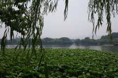 20170608_122438