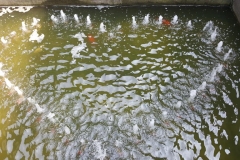 20170608_145141
