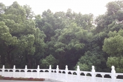 20170608_180015