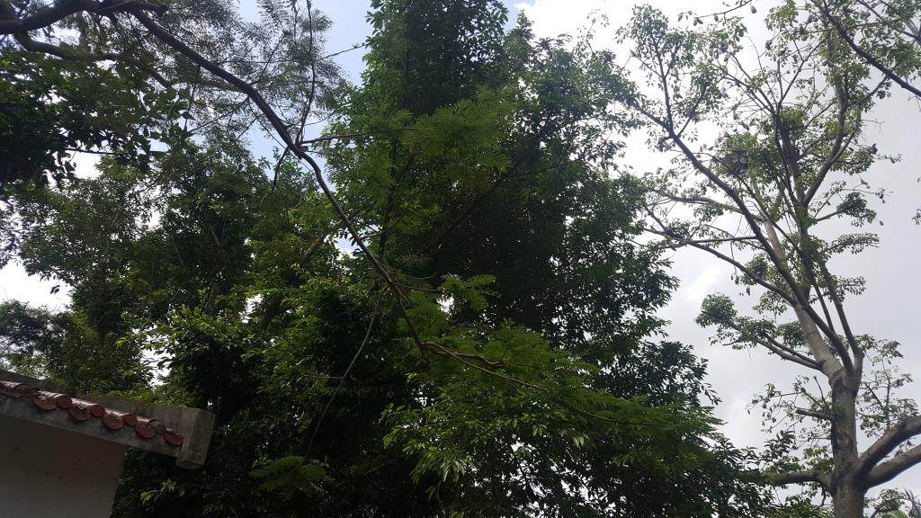 20170610_100826
