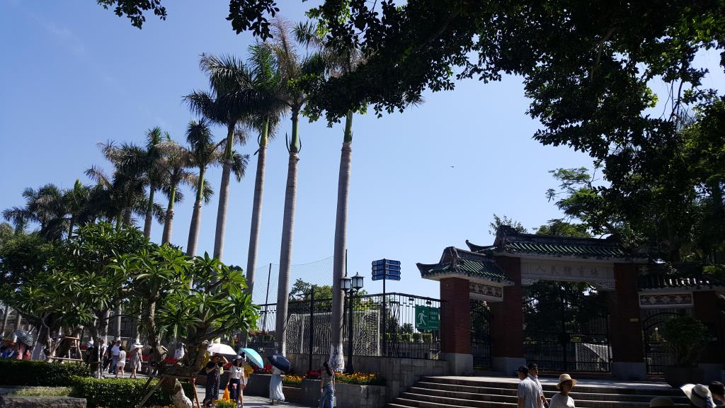 20170610_144811