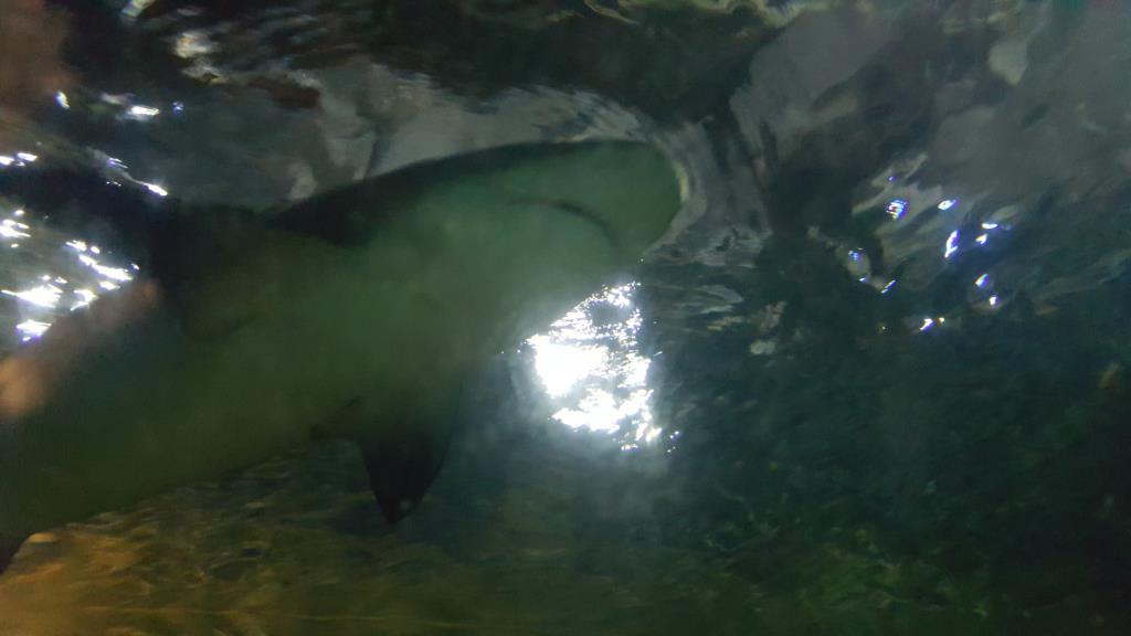 20170610_165908