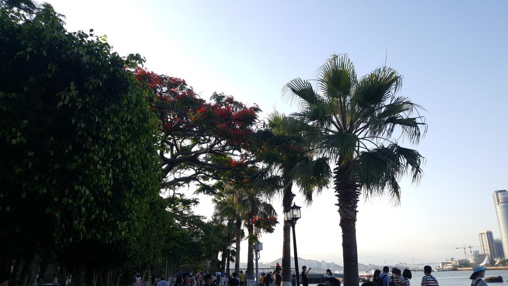 20170610_174525