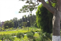 20170610_090408