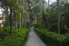 20170610_092527