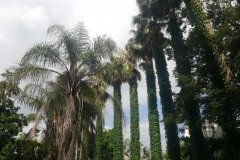 20170610_092946