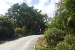 20170610_094459