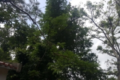 20170610_100826