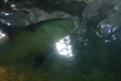 20170610_165908