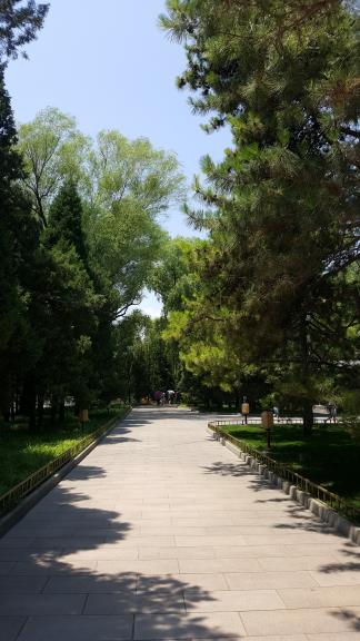20170620_115548