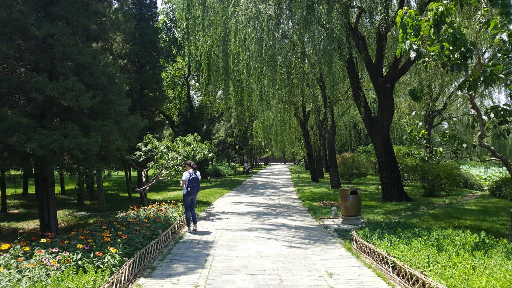 20170620_123356