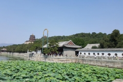20170620_101820